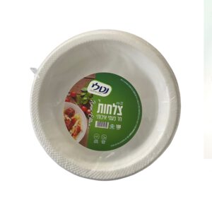 צלחת 9 לבן