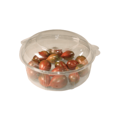 Img 4227 Removebg Preview