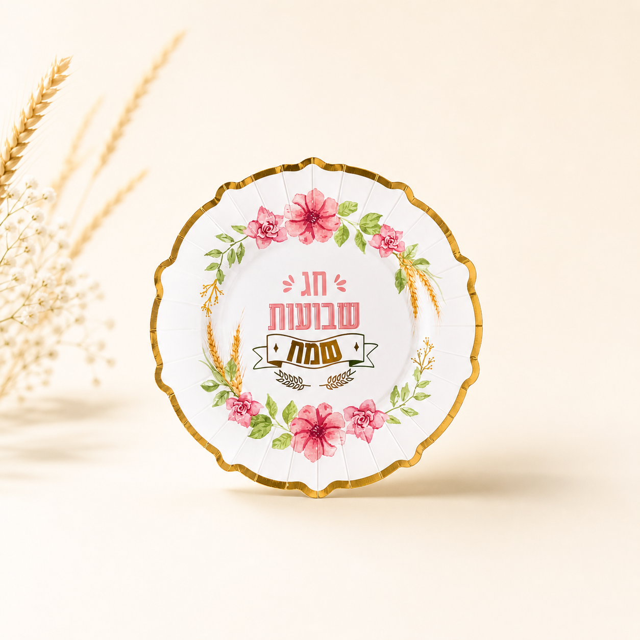 צלחת קרטון 10 שבועות